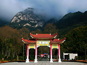 烟雨下游黄山，看别样景色，南京小蝌蚪视频免费观看大全团建圆满结束