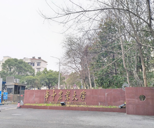 华中农业大学采购南京小蝌蚪视频免费观看大全高温同步热小蝌蚪视频.WWW